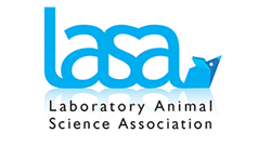 Lasa
